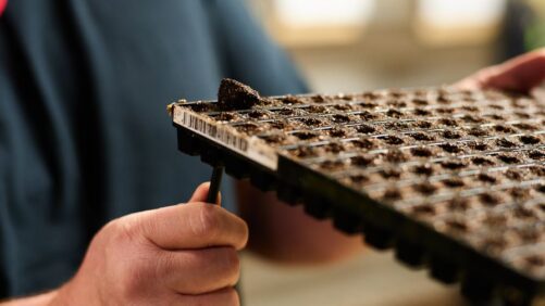 Growing Media Suppliers Offering Both Products and Resources