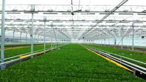 A Tech Revolution at Revolution Farms