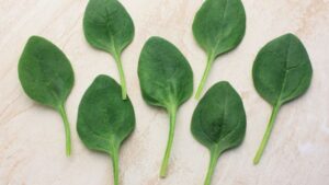 New USDA Grants Will Invest in Controlled-Environment Research Projects