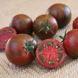 Tomato ‘Purple Zebra’ (A.P. Whaley Seed Co.)
