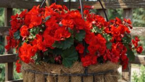 Check Out the Impressive Results From the University of Minnesota 2021 Field Trials