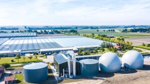 Beat the High Cost of Natural Gas by Heating Greenhouses With Biomass