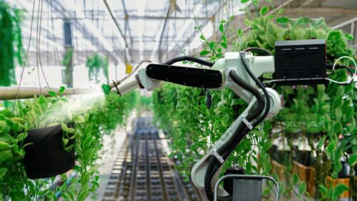 Does 5G Wireless Technology Have Potential for the Greenhouse Industry?