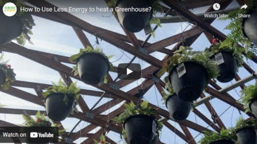 How You Can Use Less Energy When Heating Your Greenhouse
