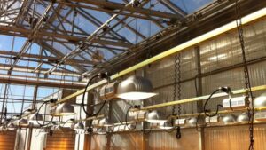 Follow These Innovative Pathways to Digital Horticulture