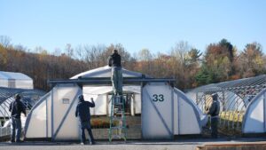 Tips on Caring for Perennials in Winter