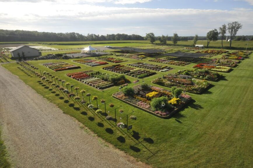 Raker-Roberta Trials