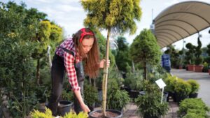 Which Containers Are Most Popular Among Growers?