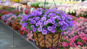 23 Varieties That Can Help You Tap Into the 2022 Color of the Year