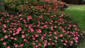 Opportunities Abound for Plant Breeders in 2022