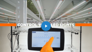 New Wireless Light Dimming Technology Now Available