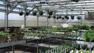 Ways Greenhouse Shelving Can Help Optimize Growing Space