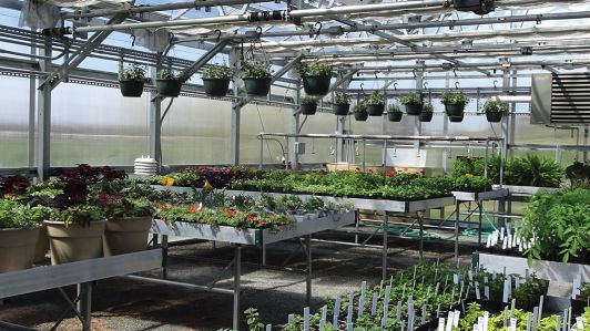 Optimize Growing Space Greenhouse Grower, Greenhouse Shelving Systems