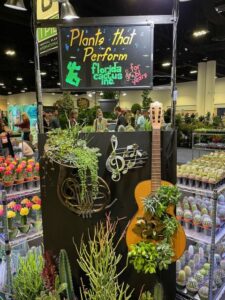 Cactus and Succulents – “Plants that Perform!” (Florida Cactus)