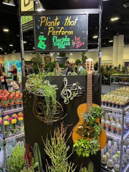 Cactus and Succulents – “Plants that Perform!” (Florida Cactus)