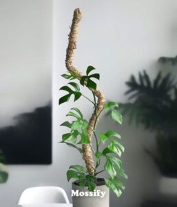 Bendable Plant Poles (Mossify)