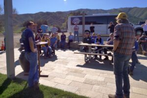 Double L Vineyard Runs Vines North and South