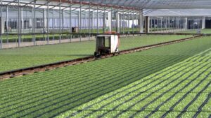 Getting Up Close with Biocontrols in the Field