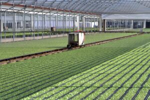 INSV is a Major Challenge