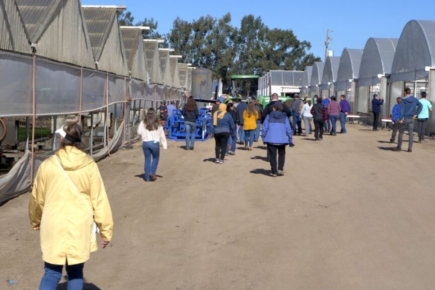 Controlling Weeds Also Helps Control INSV