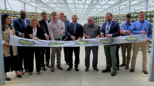 Bonnie Plants Upgrades Facilities for Improved Growing and E-Commerce Operations