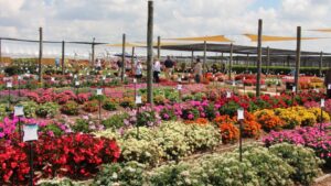 Costa Farms CEO Sheds More Light on Battlefield Farms Acquisition