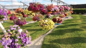 Eight Greenhouse Industry Events That Brought a Return to Normalcy in 2022