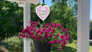 California Spring Trials 2022 Preview: What to Expect at Ball Horticultural