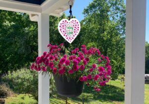 Dianthus 'Falling in Love Rosie' (Ball Ingenuity)