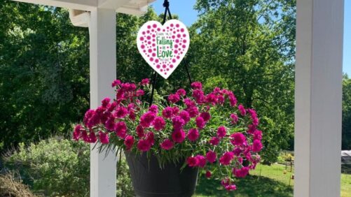 California Spring Trials 2022 Preview: What to Expect at Ball Horticultural