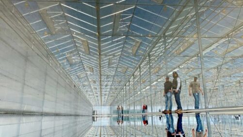 Glass House Farms Nets License for New Southern California Cannabis Facility