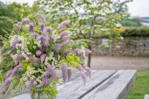 Ptilotus ‘Matilda’ (Benary)