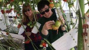 Researchers Mapping Out Tomato Flavors Preferred by Consumers