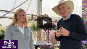 2022 California Spring Trials: Brassica as Cut Flowers at American Takii