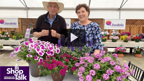 A Look Back at the Best From the 2022 California Spring Trials