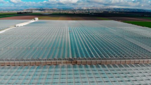 A Closer Look at Glass House Farms’ Massive Cannabis Expansion