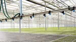 How to Choose the Right Water Management System for Your Greenhouse