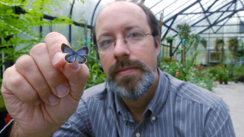 Researchers Aim to Clarify True Definition of Wildlife-Friendly Plants