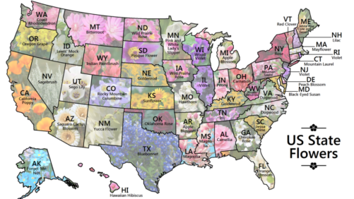 New Project Aims to Highlight Flower Farms Across the U.S.