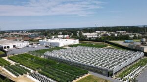 Why You Should Get Clean Green Certified for Cannabis