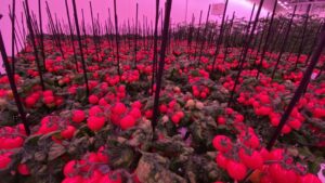 GreenTech Innovation Award Finalists Unveiled