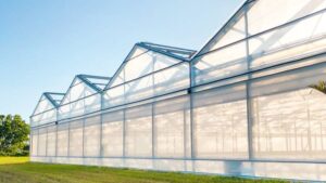 Green Life Farms Expands in Florida, Adds New Leadership