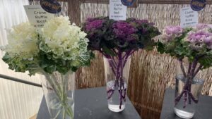 Why Experts Say Cut Flowers Are Rising in Popularity