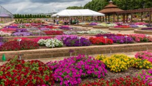 10. Metrolina Greenhouse Celebrates Its 50-Year Anniversary With an Eye on the Future