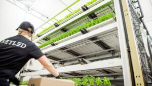 3 New Innovations in CEA Technology