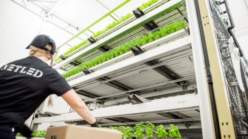 3 New Innovations in CEA Technology