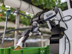 Organifarms GmbH, Berry