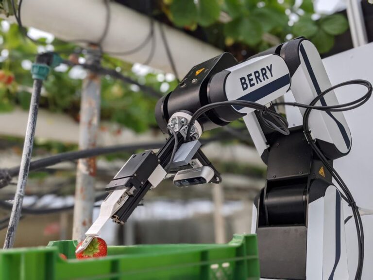 Organifarms GmbH, Berry