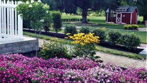 Suntory, American in Bloom Partner on Social Media Photo Contest