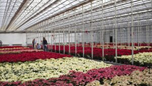 Hoffmann Family of Companies Acquiring N.G. Heimos Greenhouses